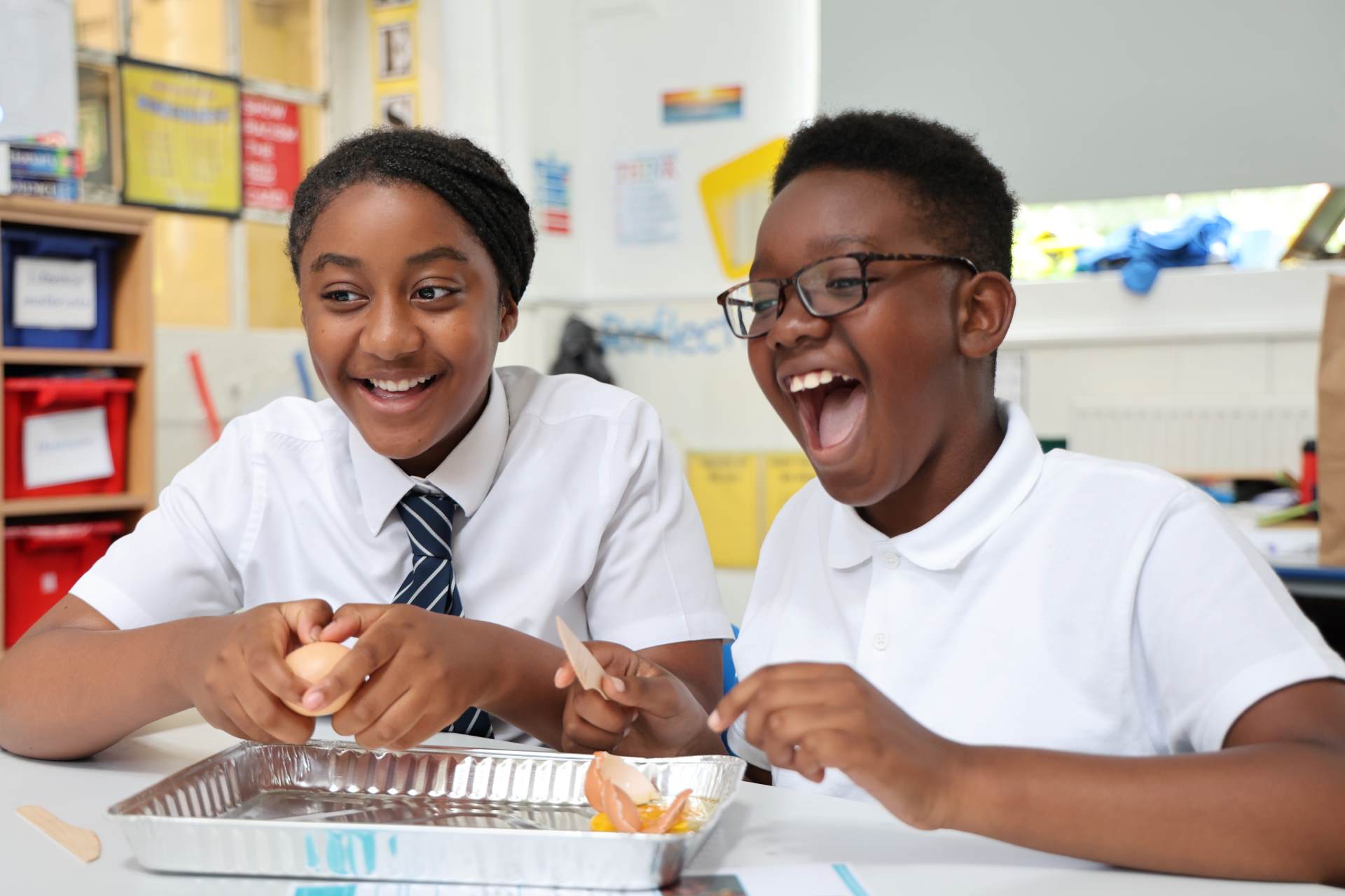 Y5science